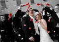 Melbourne Marriage Celebrant Lisa Greenfield image 4
