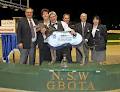 NSW Greyhound Breeders Owners & Trainers Assoc image 5