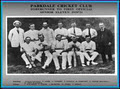 Parkdale Cricket Club Inc image 3