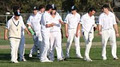 Parkdale Cricket Club Inc image 1