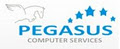 Pegasus Computer Services logo
