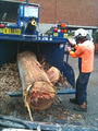 Shepherd's Tree Service Pty Ltd image 2