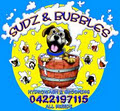 Sudz & Bubbles logo