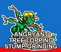 Tree Lopping and Stump Grinding Brisbane image 1