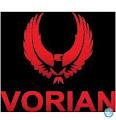 Vorian Investment logo