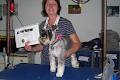 W.A. Dog Grooming & Clipping Academy image 6