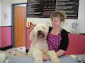Woofer's Dog Grooming & Boutique image 1