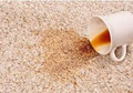 All Seasons Carpet Cleaning image 1