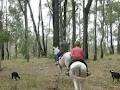 Bulga Creek Horse Riding image 6