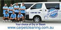 Drymaster carpet cleaning logo