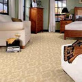 domaine carpet & pressure cleaning image 1