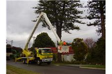 WA Tree works Pty Ltd image 3