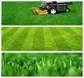 Pro Edge Mowing image 2