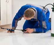 Nice Carpet Cleaning image 2