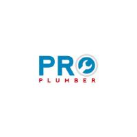 Pro Plumber Brisbane image 1