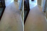 Wet Carpet Clean Team image 1