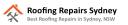 Roofing Repairs Sydney logo