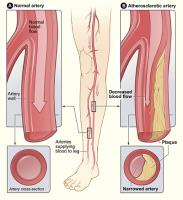 Essendon Podiatry Clinic image 4