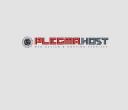 Plegma.host Web Design & Hosting Services logo