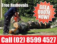 Sydney's Best Tree Removal image 5