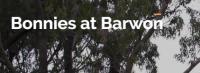 Bonnie’s at Barwon image 1