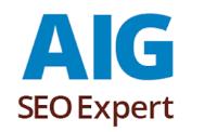 AIG Seo image 1