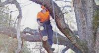 JK COOPER TREE SERVICES image 6