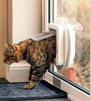 Best Cat Doors image 4