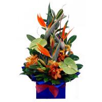 Melbourne Florist image 5