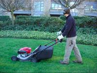 Northern Beaches Garden Care image 17