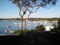 Lake Macquarie Kill a Pest image 2