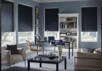 Sheer Elegance Blinds image 4