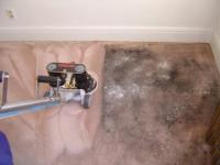 Carpet Cleaning Brunswick East image 3