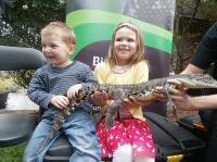 Reptile Encounters image 2