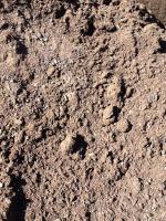 Bibra Lake Soils image 4