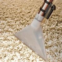 Carpet Cleaning Point Cook image 3