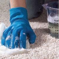 Carpet Cleaning Prahran image 2