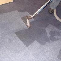 Carpet Cleaning St Kilda image 3