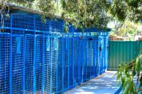 Solar Lodge Boarding Kennel and Cattery image 3