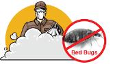 Pest Control Brisbane image 2