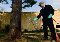 Pest Control Services Ipswich image 2