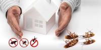 Hills Pest Control Pros image 5