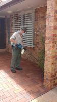 Amalgamated Pest Control Bundaberg image 3