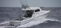 Mooloolaba Fishing Charters image 2