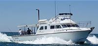 Mooloolaba Fishing Charters image 4