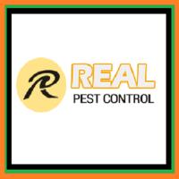 Real Pest Control Adelaide image 1