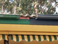 Port Macquarie Metal Fascia & Guttering image 6