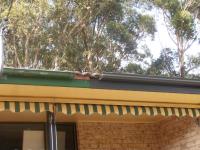 Port Macquarie Metal Fascia & Guttering image 4