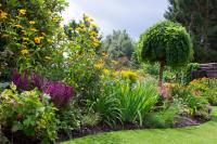 LUKE JOHNS LANDSCAPING image 3