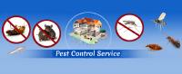 7 Days Pest Control Brisbane image 2